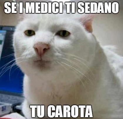 SEGUI ER CONSIJO !! - 04/01/2013