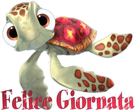 Immagine Divertente - 19/01/2013