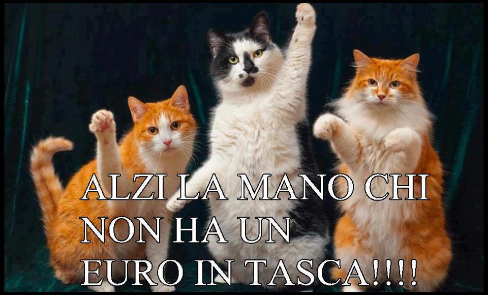 Immagine Divertente - 27/01/2013