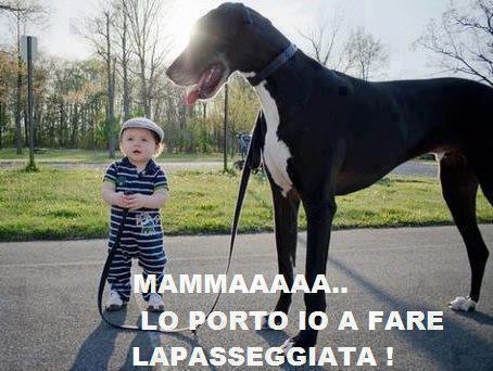 Immagine Divertente - 29/01/2013