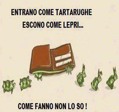 Immagine Divertente - 31/01/2013