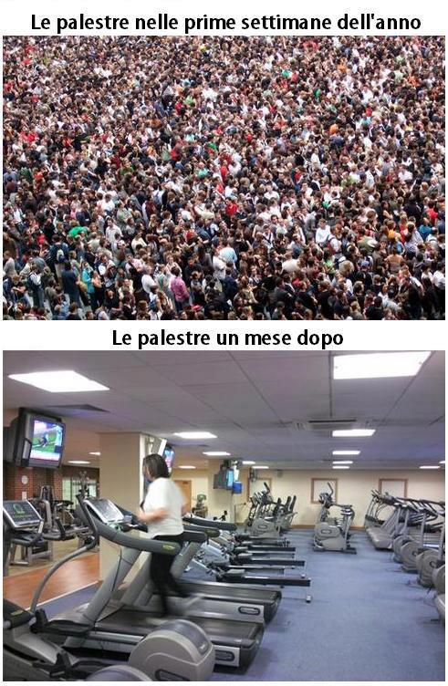 Immagine Divertente - 01/02/2013