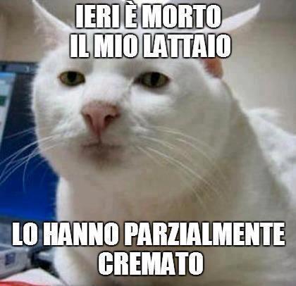 Immagine Divertente - 02/02/2013