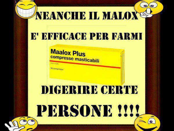 Immagine Divertente - 08/02/2013