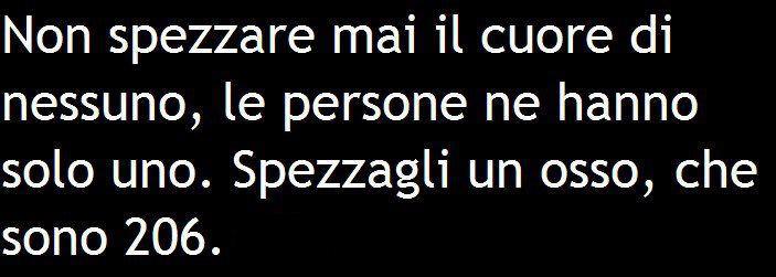Immagine Divertente - 08/02/2013