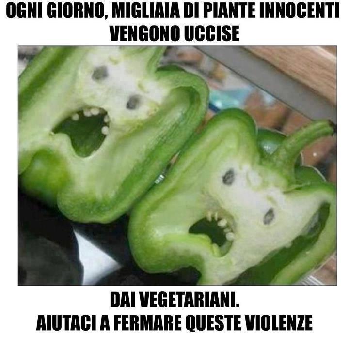 Immagine Divertente - 09/03/2013