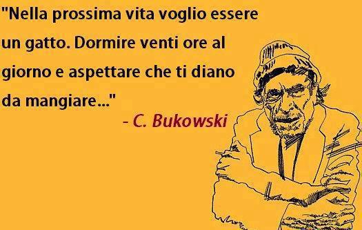 Immagine Divertente - 10/03/2013