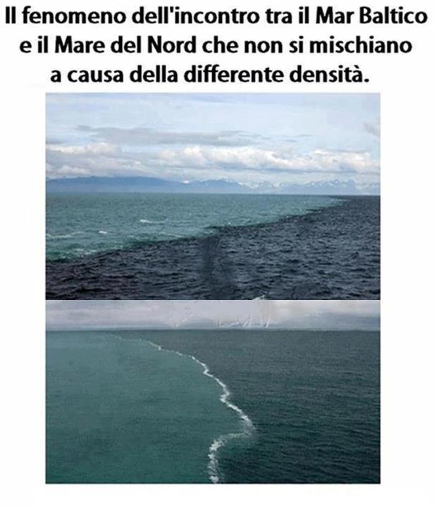 'NO SPETTACOLO !! - 04/07/2012