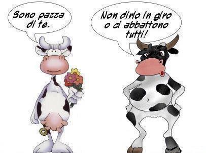 MEJO NUN DILLO !! - 02/10/2012