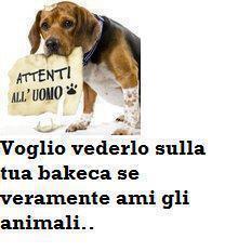 Immagine Divertente - 18/04/2012