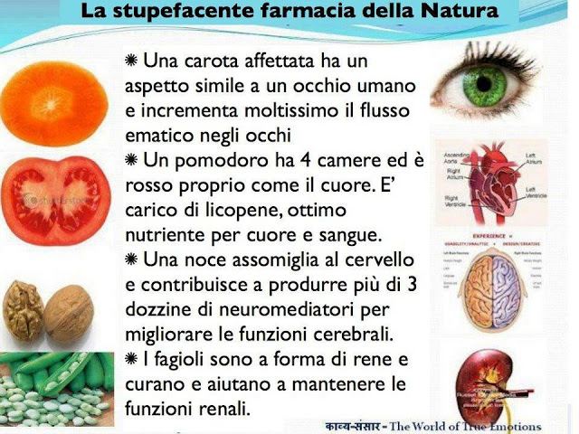 LA STUPEFACENTE FARMACIA DELLA NATURA: ''NON TUTTI SANNO CHE...'' - FOTO ALL'INTERNO - 10/05/2013
