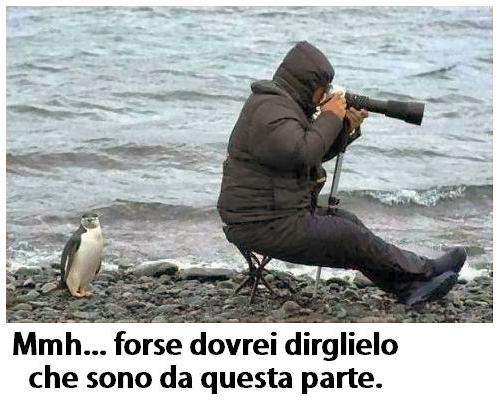 'A PAZIENZA E' 'A VIRTU' DEI FORTI !! - 19/05/2012