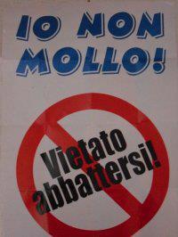Immagine Divertente - 14/04/2012