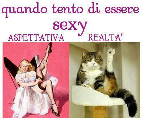 Immagine Divertente - 12/03/2013