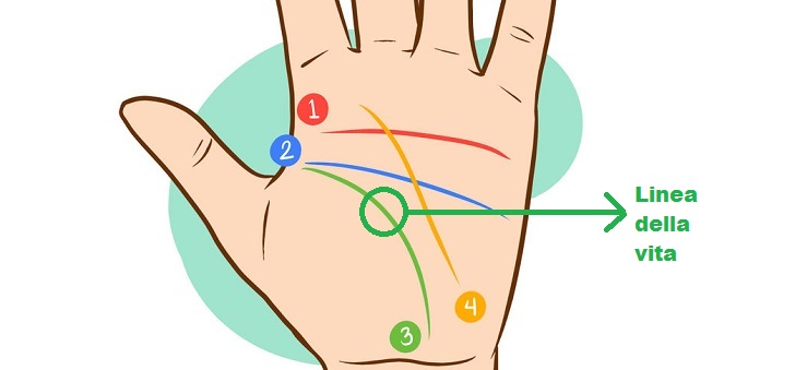 LE LINEE DEL PALMO DELLA MANO RIVELANO MOLTO SULL'ANDAMENTO DELLA TUA VITA - 23/04/2015