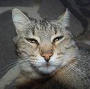 MEJO PERSI... CHE DEPRESSI !! - 19/03/2012