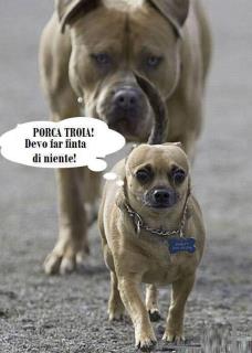 Immagine Divertente - 23/05/2012