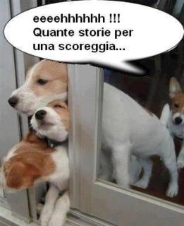 NUN TE LAMENTA' !! - 24/05/2012