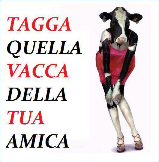 A CHI TOCCA... NUN SE INGRUGNA !! - 11/05/2012