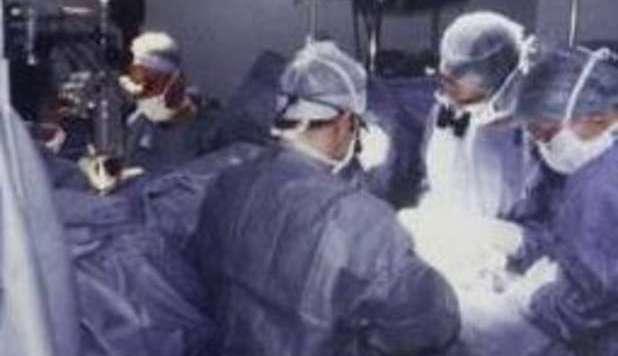 GLI TRAPIANTANO UN RENE INFETTATO DALLA 'RABBIA': MUORE DOPO DUE ANNI - 16/03/2013