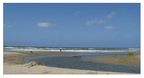 LITORALE ROMANO, LA STRAZIANTE SCOPERTA SULLA SPIAGGIA - 12/07/2016