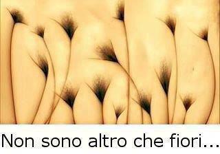 Immagine Divertente - 23/05/2012