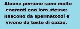 Immagine Divertente - 23/05/2012
