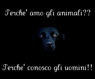 NUN C'E' ALTRO DA AGGIUNGE !! - 11/04/2012