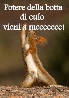 Immagine Divertente - 28/04/2012