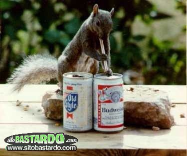 QUASI QUASI... ME SPARO 'NA BIRRETTA !! - 26/03/2012