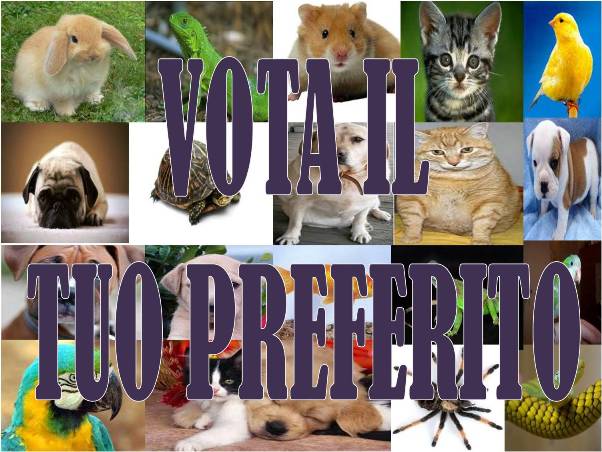 VOTA IL TUO AMICO ANIMALE !! - 01/04/2012
