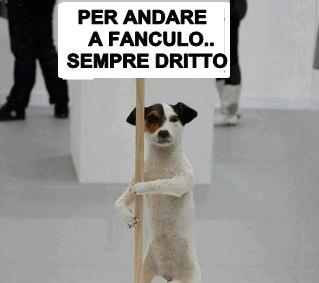 Immagine Divertente - 12/05/2012