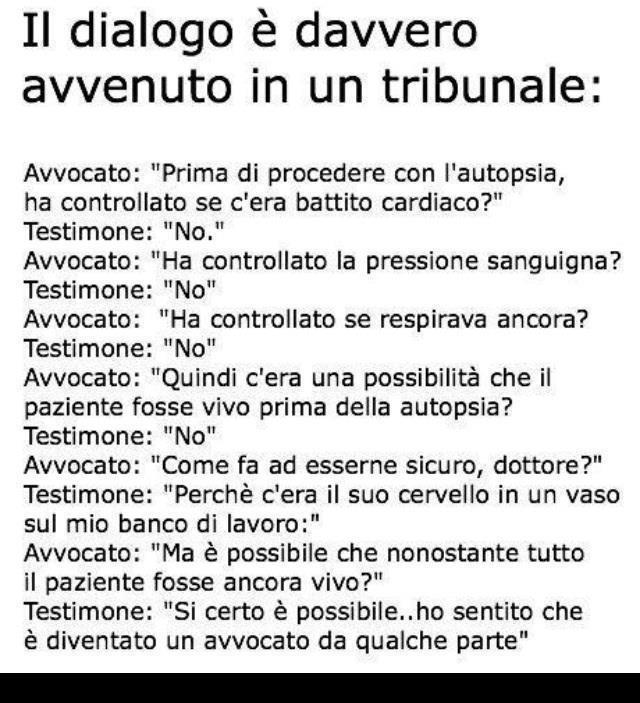 Immagine Divertente - 05/03/2013