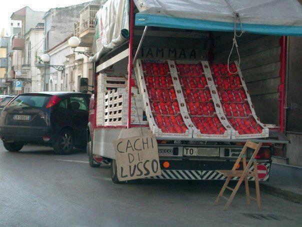 Immagine Divertente - 09/03/2013