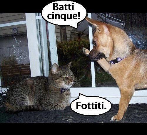 Immagine Divertente - 10/07/2012