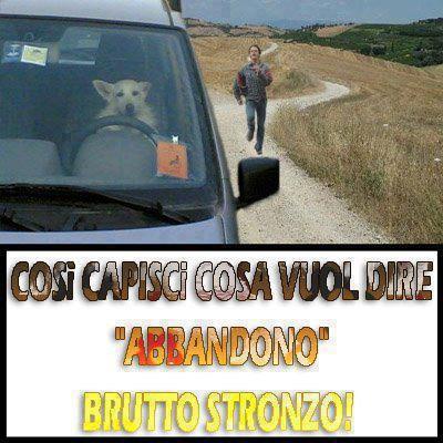 Immagine Divertente - 10/07/2012