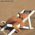 VOJO NA' VACANZA CHE DURI 11 MESI E 31 GIORNI !! - 04/03/2012