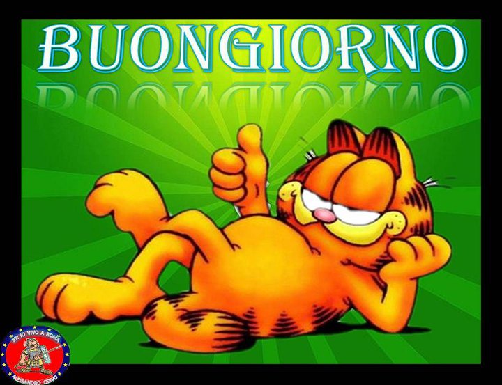 BUON SABATO A TUTTI GLI AMICI COLLEGATI... CHE SIATE SVEJI O ANCORA ADDORMENTATI !! - 04/03/2012