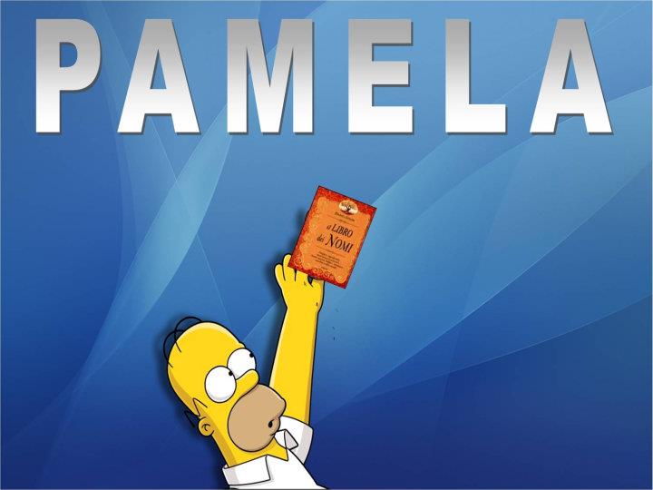 PAMELA - 02/03/2012