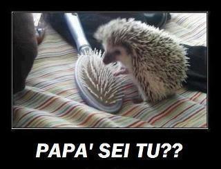 TUTTI SE POSSONO SBAJA' !! - 17/06/2012