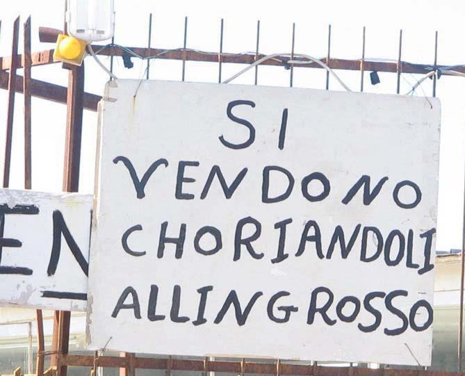 NOI DE ROMA - 16/11/2012