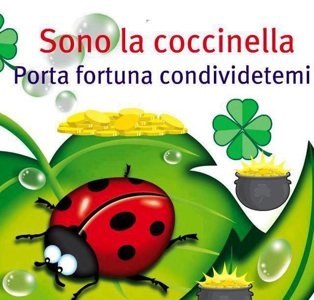 Immagine Divertente - 19/01/2013