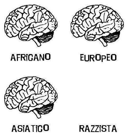 Immagine Divertente - 19/01/2013
