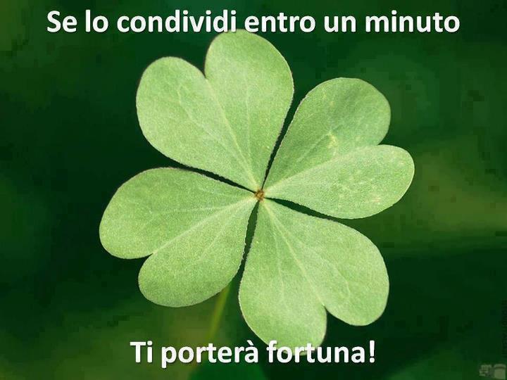 Immagine Divertente - 27/01/2013