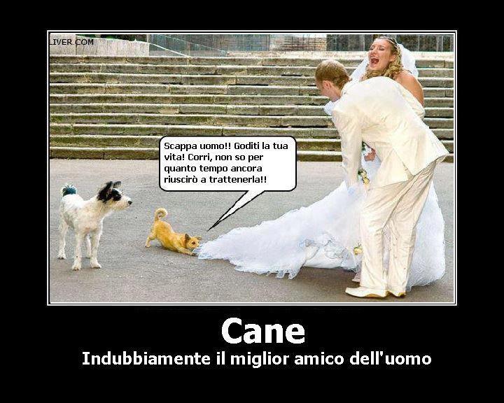 Immagine Divertente - 07/04/2013