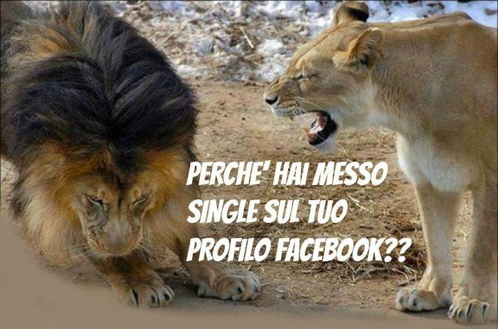 Immagine Divertente - 01/05/2013