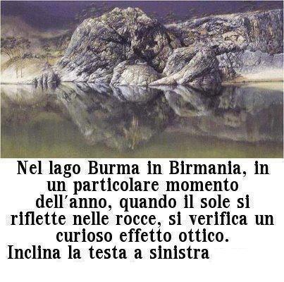 Immagine Divertente - 05/05/2013