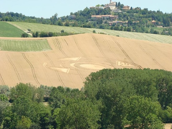 CERCHI NEL GRANO IN UN CAMPO, E' GIALLO. ''È UN SIMBOLO ALIENO'' - FOTO - 02/07/2013