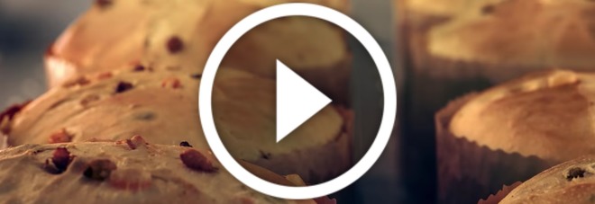 LO SPOT DEL PANETTONE MOTTA SFOTTE I VEGANI: SCOPPIA IL CAOS - VIDEO - 14/12/2016