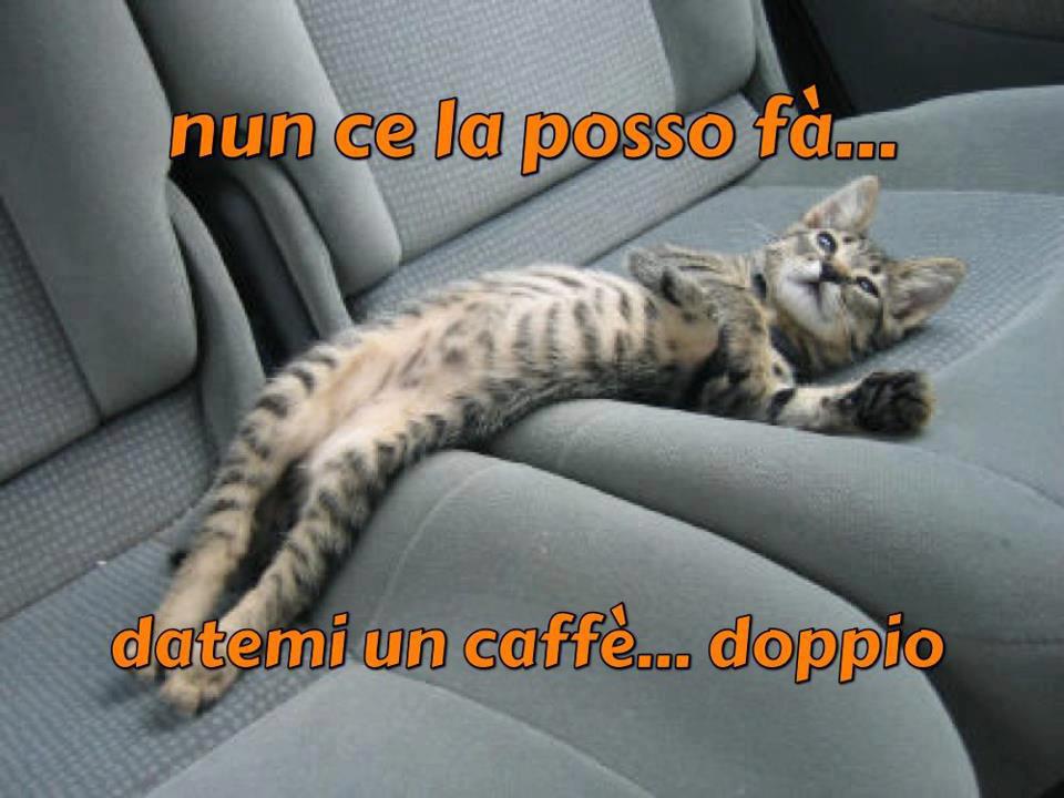 NUN CE LA POSSO FA' !! - 26/10/2012